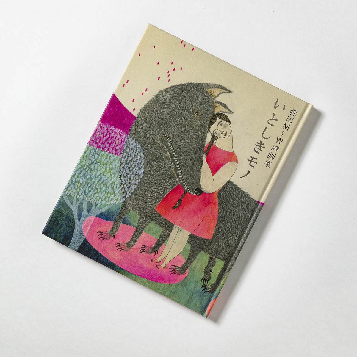 Buch - moritaMiW - Morita MiW - Beloved Things
