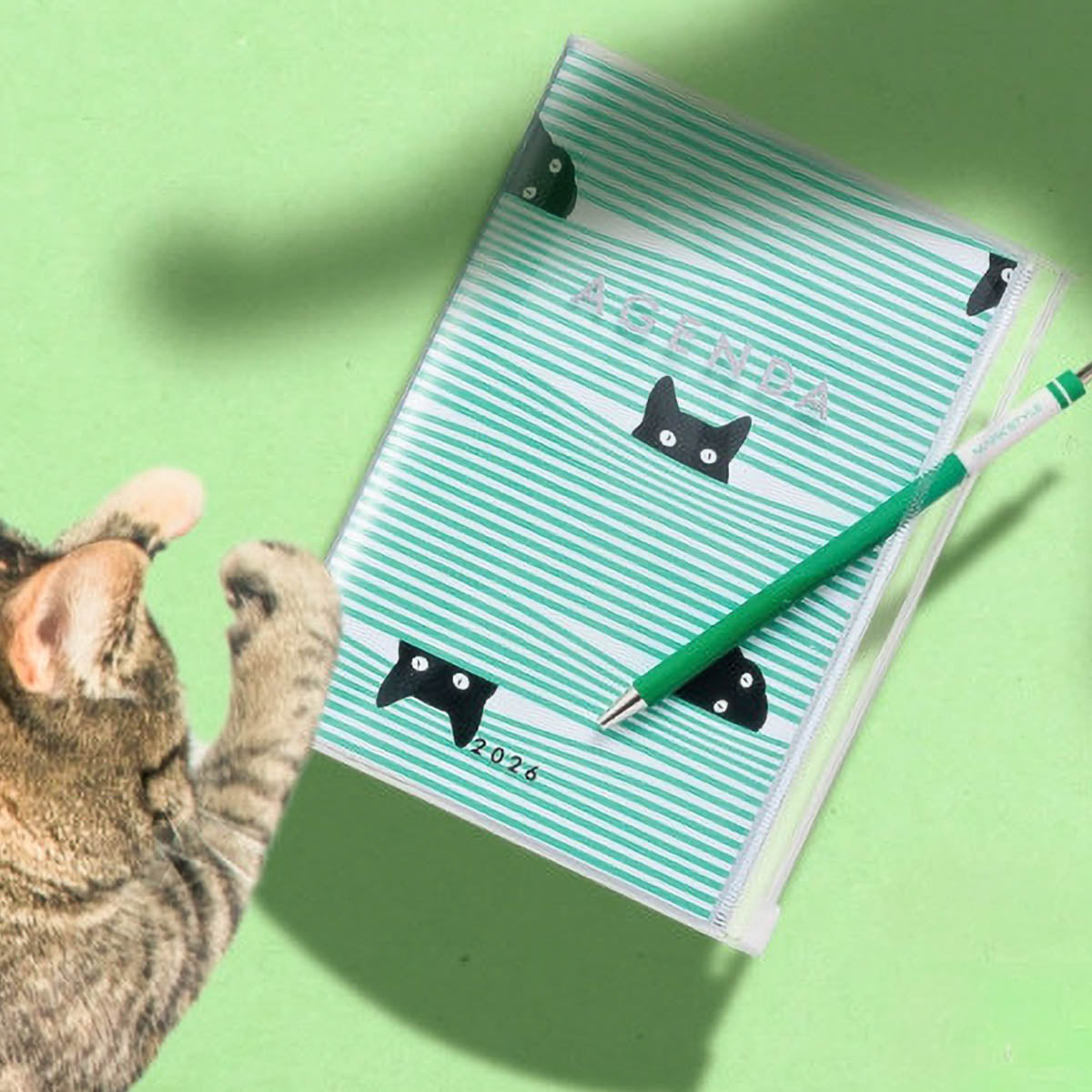 Kalender Tagebuch - MARK'S - AGENDA 2026 - A5 - Cats
