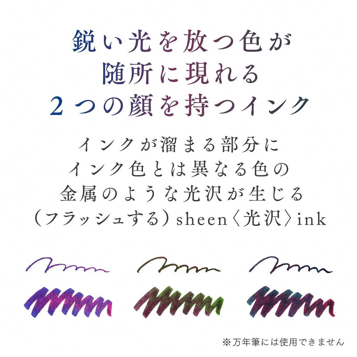 Dip Pen - SAILOR - Hocoro - Dip Pen + Ink Set - Sheen