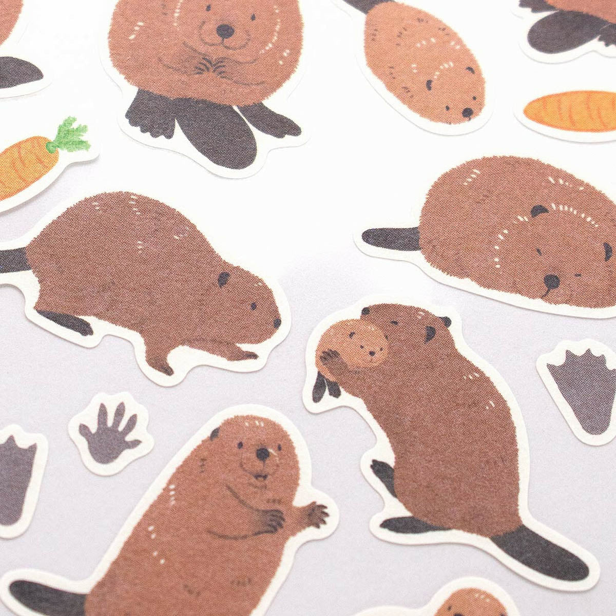Deko-Sticker - Animals