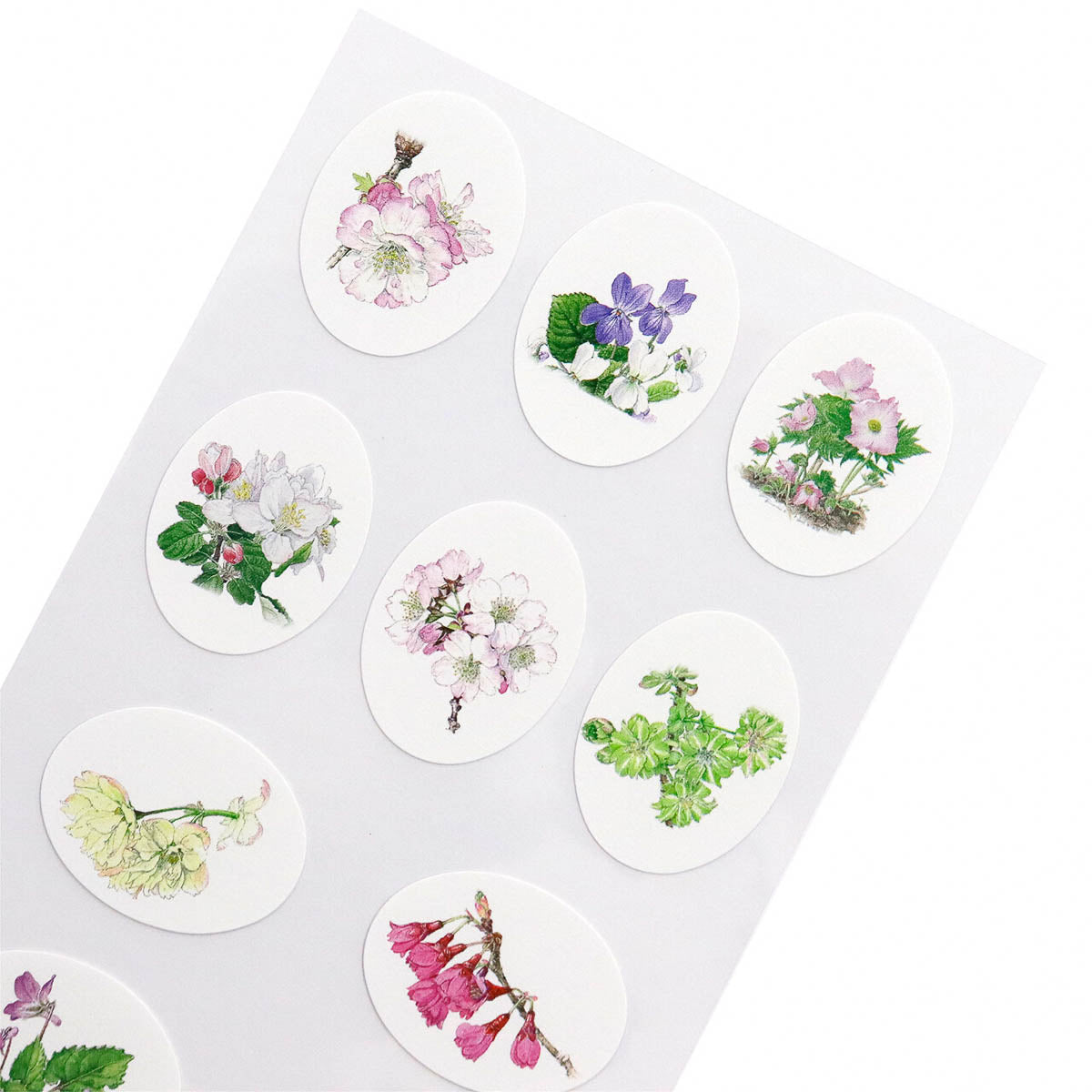 Deko-Sticker - Kiyohiko Sugisaki and Fumiko Sugisaki - Botanical Art