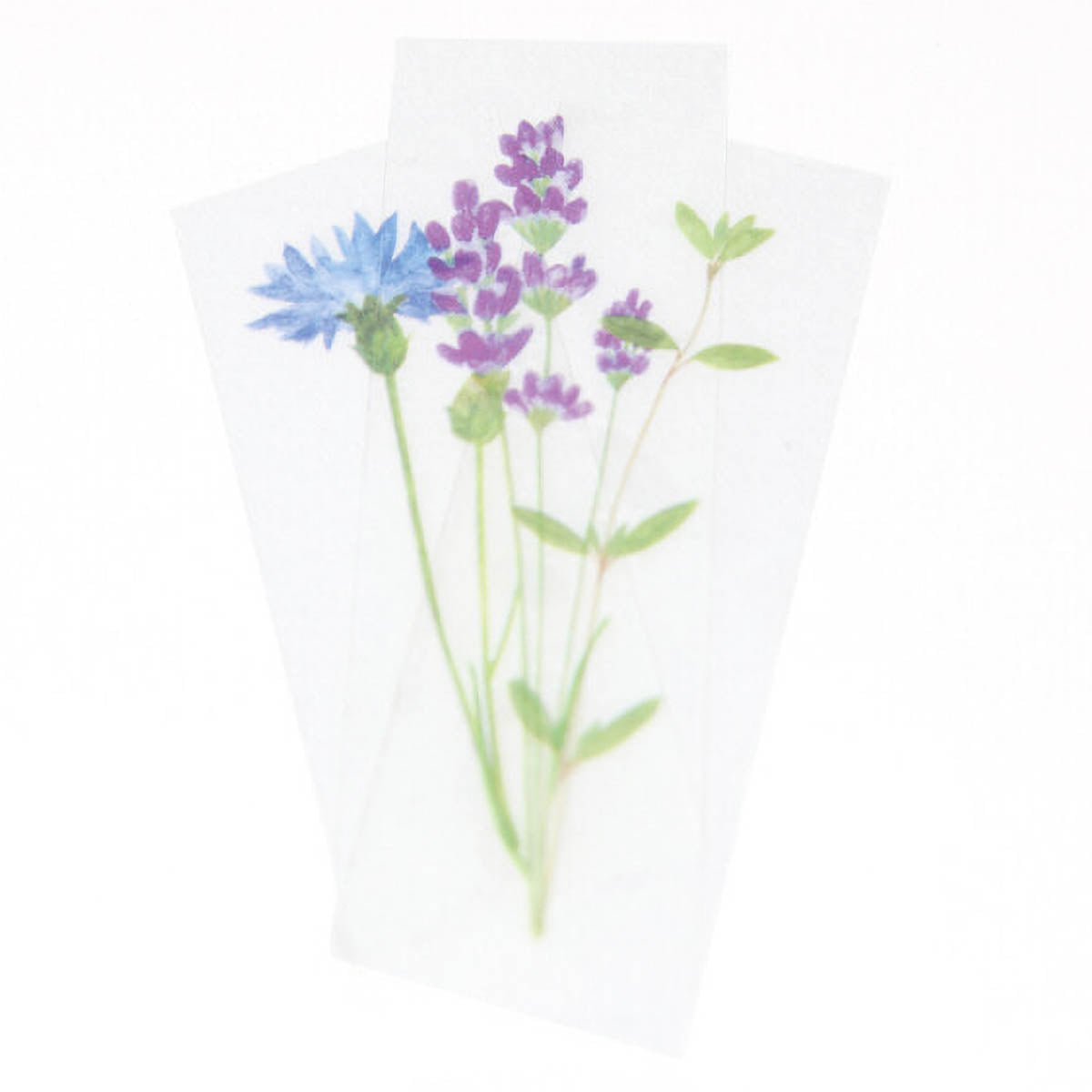 Decoration Tape - Somokka - Pressed Flowers - 20mm