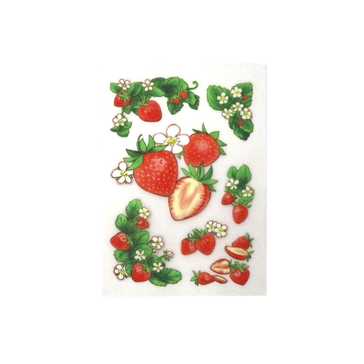 Stoffaufkleber - Fabric Transfer Sticker - Fruits