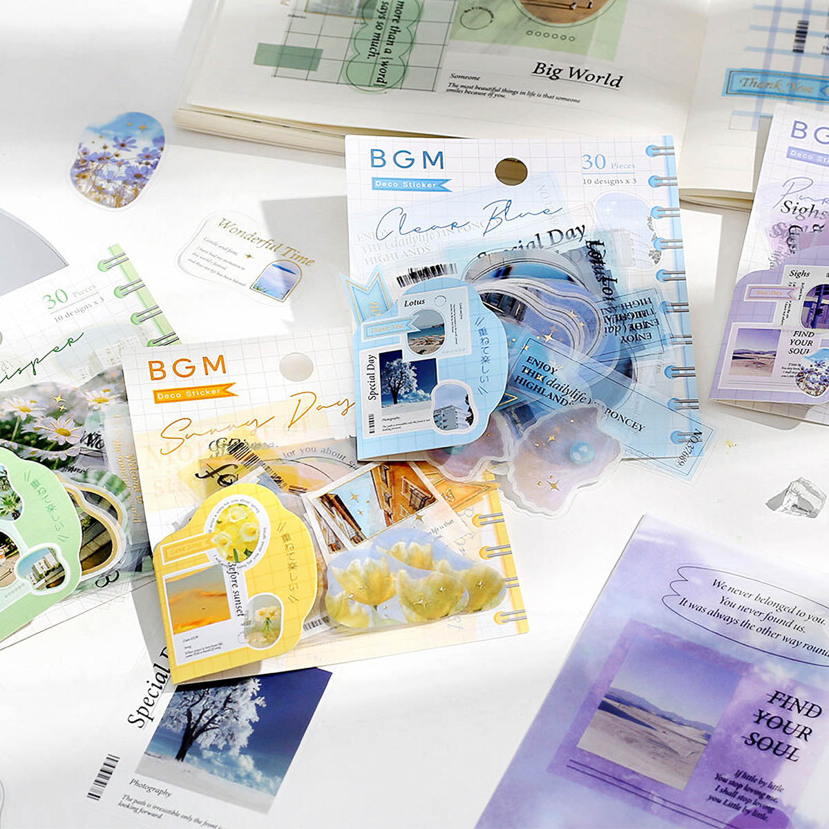 Flockensticker - BGM - Photo