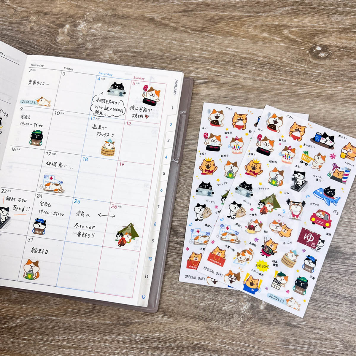 Journalsticker - Masking Schedule Sticker L