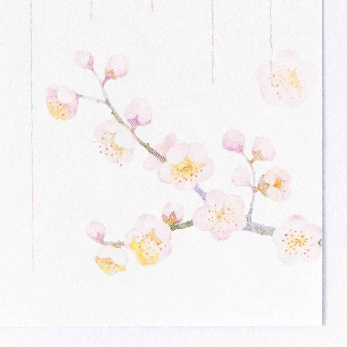 Briefpapier - Notepad - Winter - 5th Collection - 2025