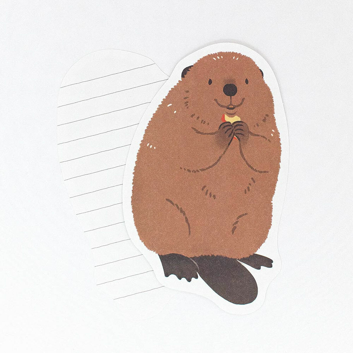 Briefpapier-Set - ZOOm In Animals