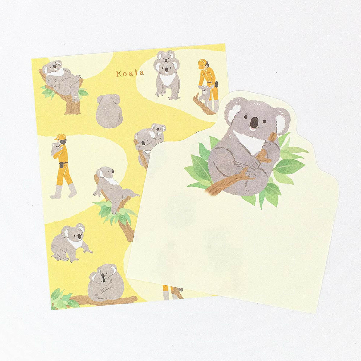 Notizblock - ZOOm in Animals