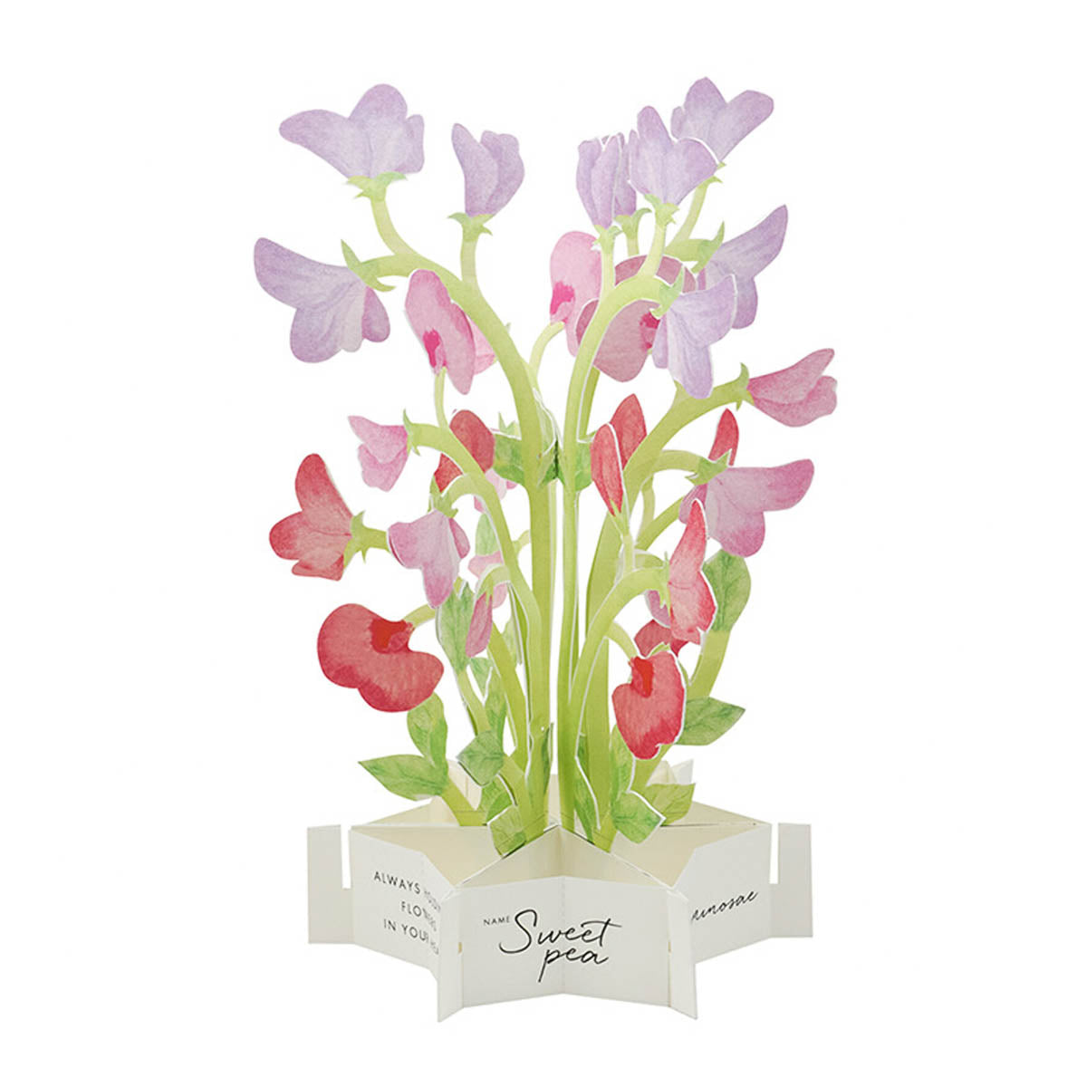 Message Card - Blumenstrauß - Groß