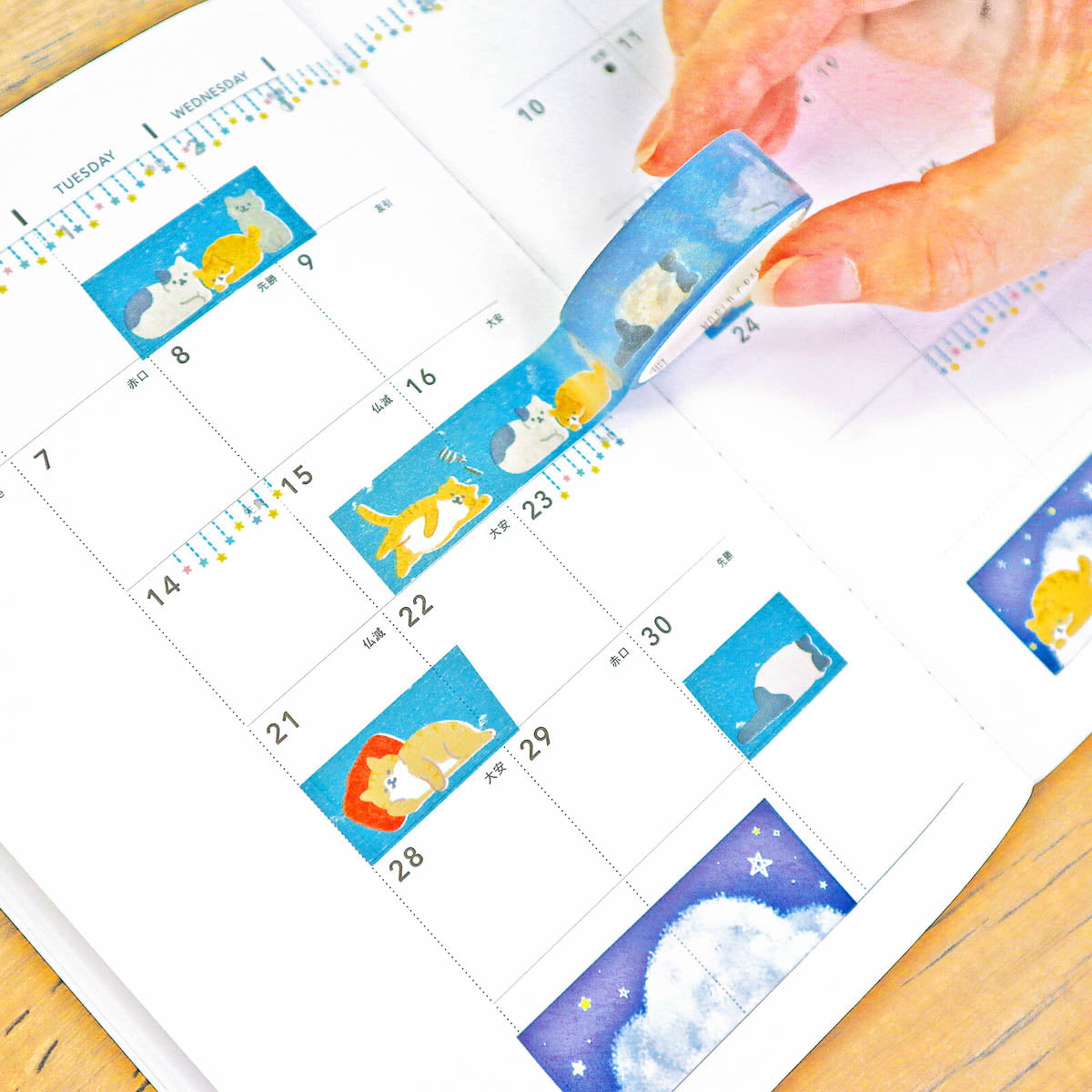 Masking Tape - WORLD CRAFT - Animal Set