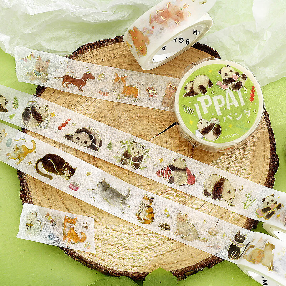 Masking Tape - IPPAI