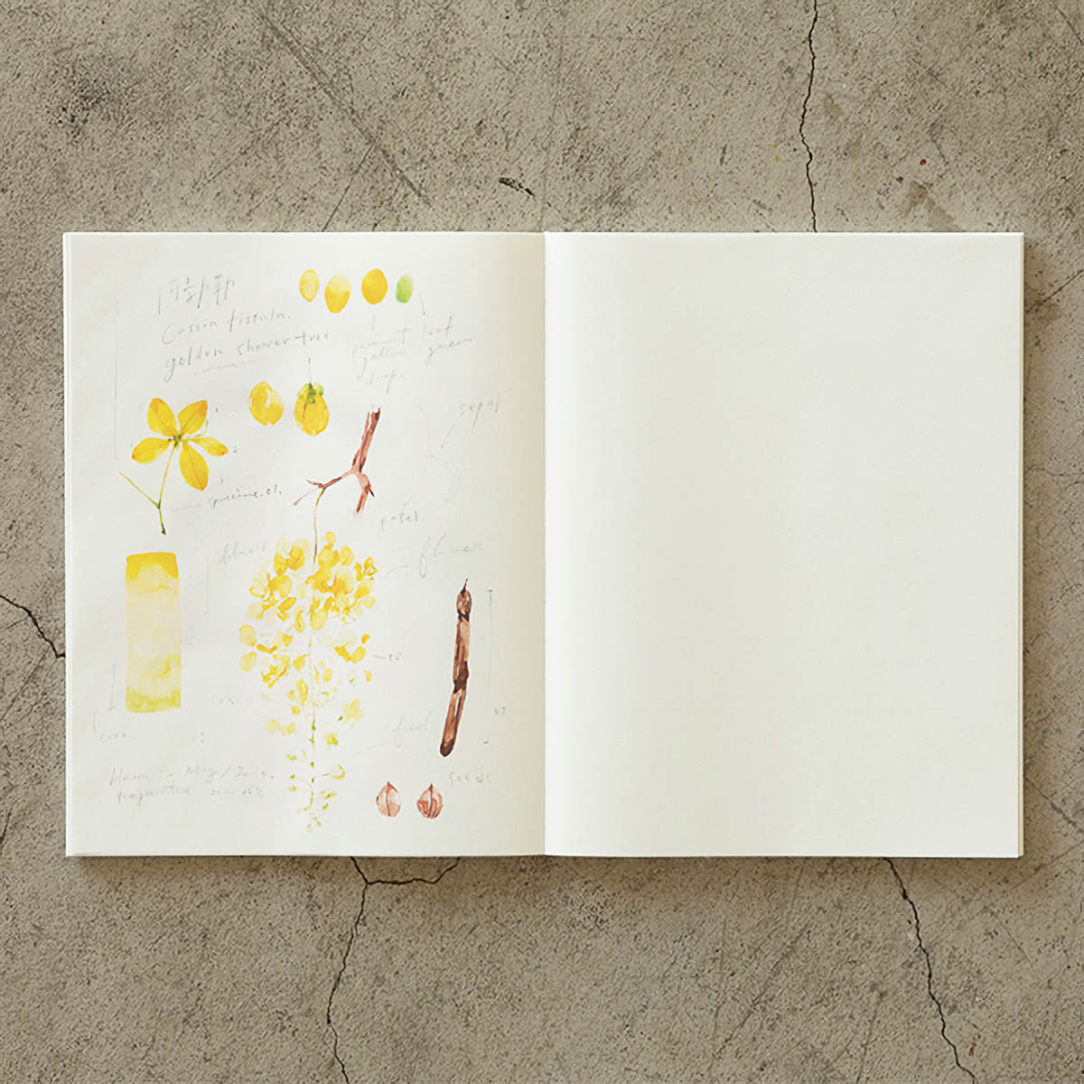 Notizbuch - MD Paper - MD Notebook - Cotton
