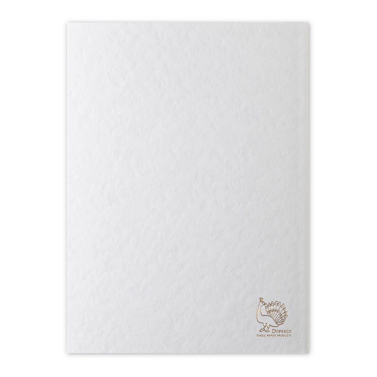 Notizbuch - Takeo Paper - Dressco - KateJo - Onion Skin - Large