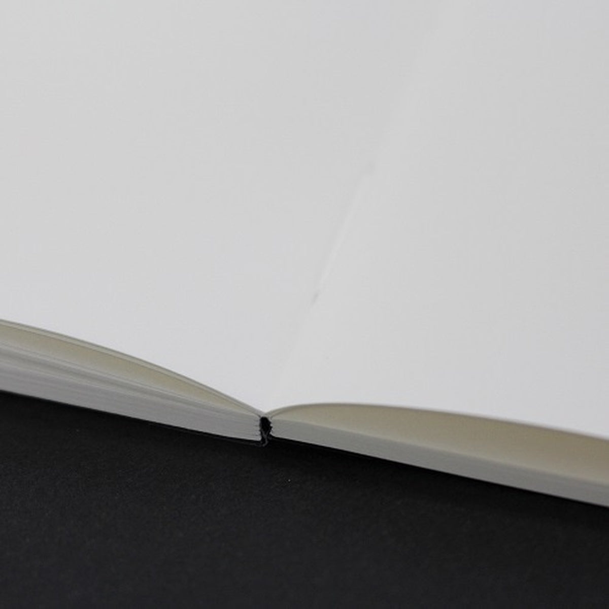 Notizbuch - Tomoe River FP 68g - Soft Cover - B5
