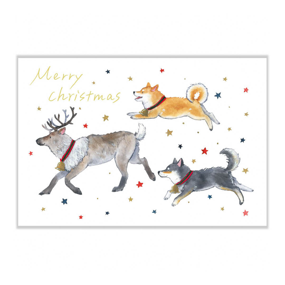 Postkarte - Shiba Inu and Christmas