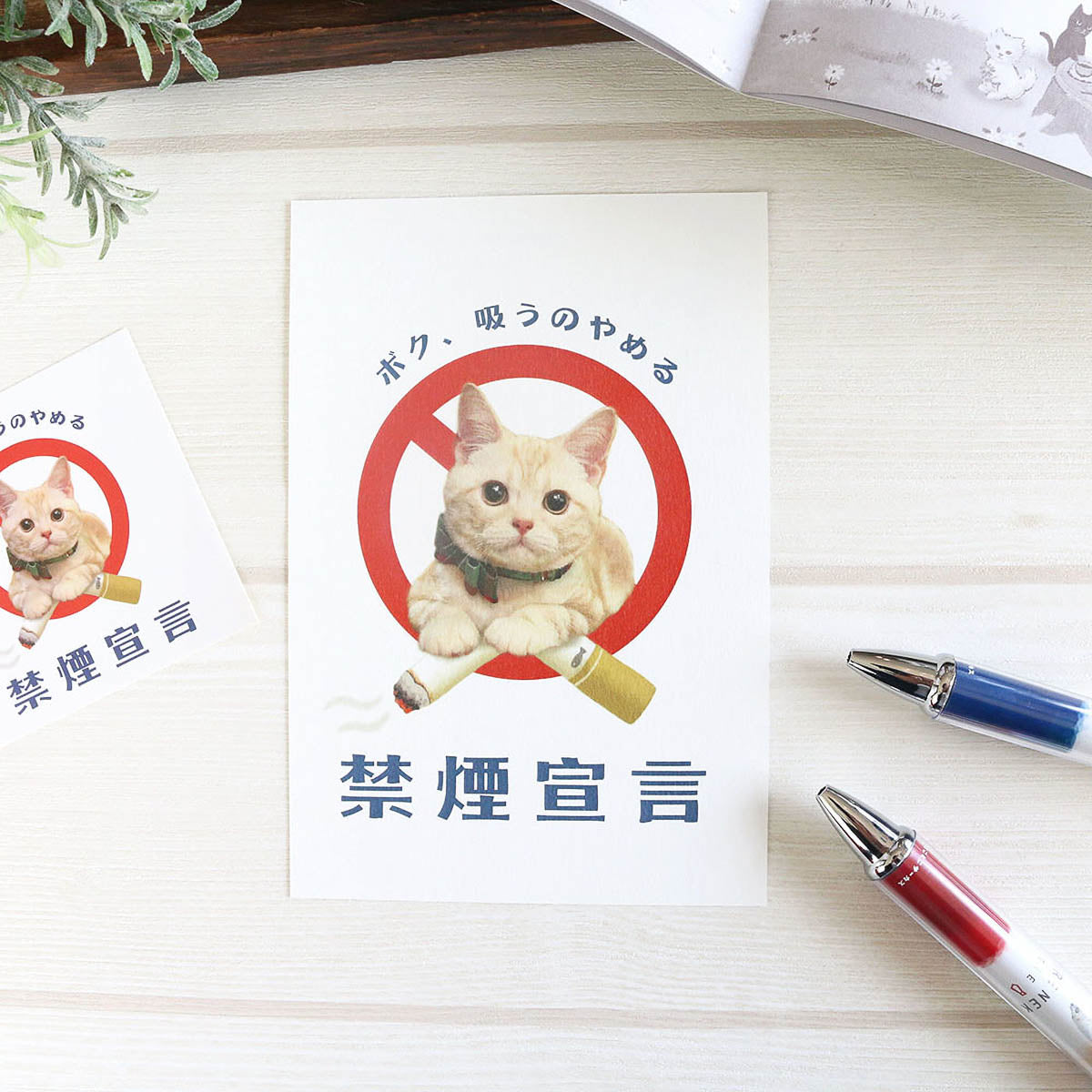 Postkarte - Tocotoco Circus - Cute Cat