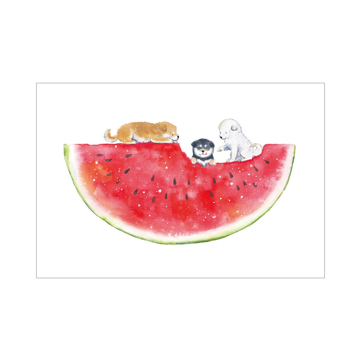 Postkarte - Shiba Inu and Summer