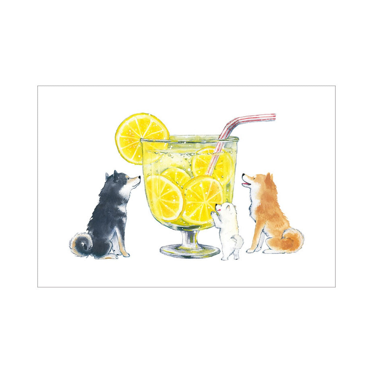Postkarte - Shiba Inu and Summer