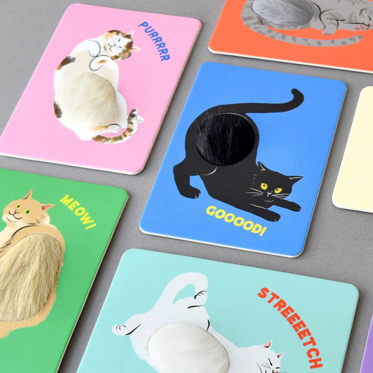 Postkarte - Fluffy Cats
