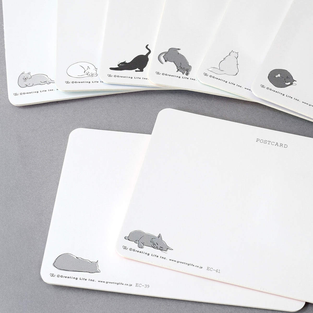 Postkarte - Fluffy Cats