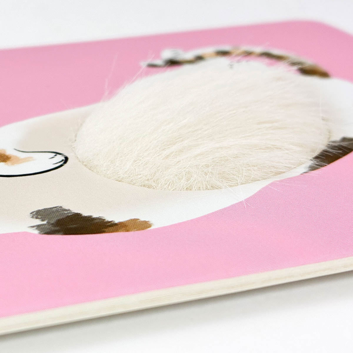 Postkarte - Fluffy Cats