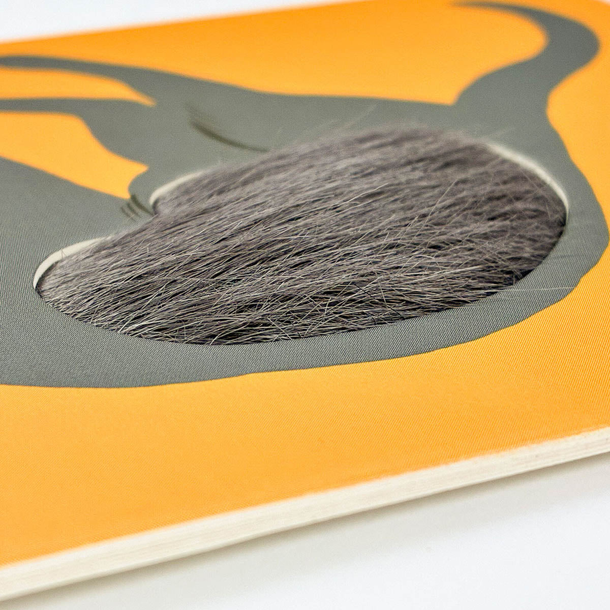 Postkarte - Fluffy Cats