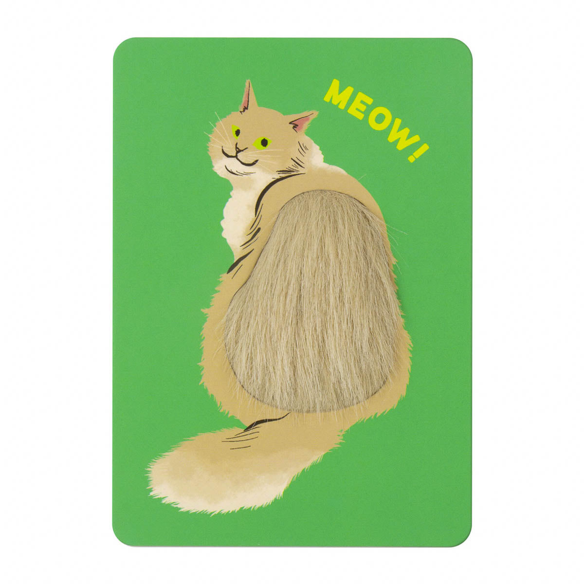 Postkarte - Fluffy Cats