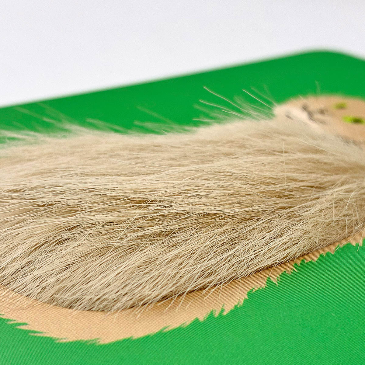 Postkarte - Fluffy Cats
