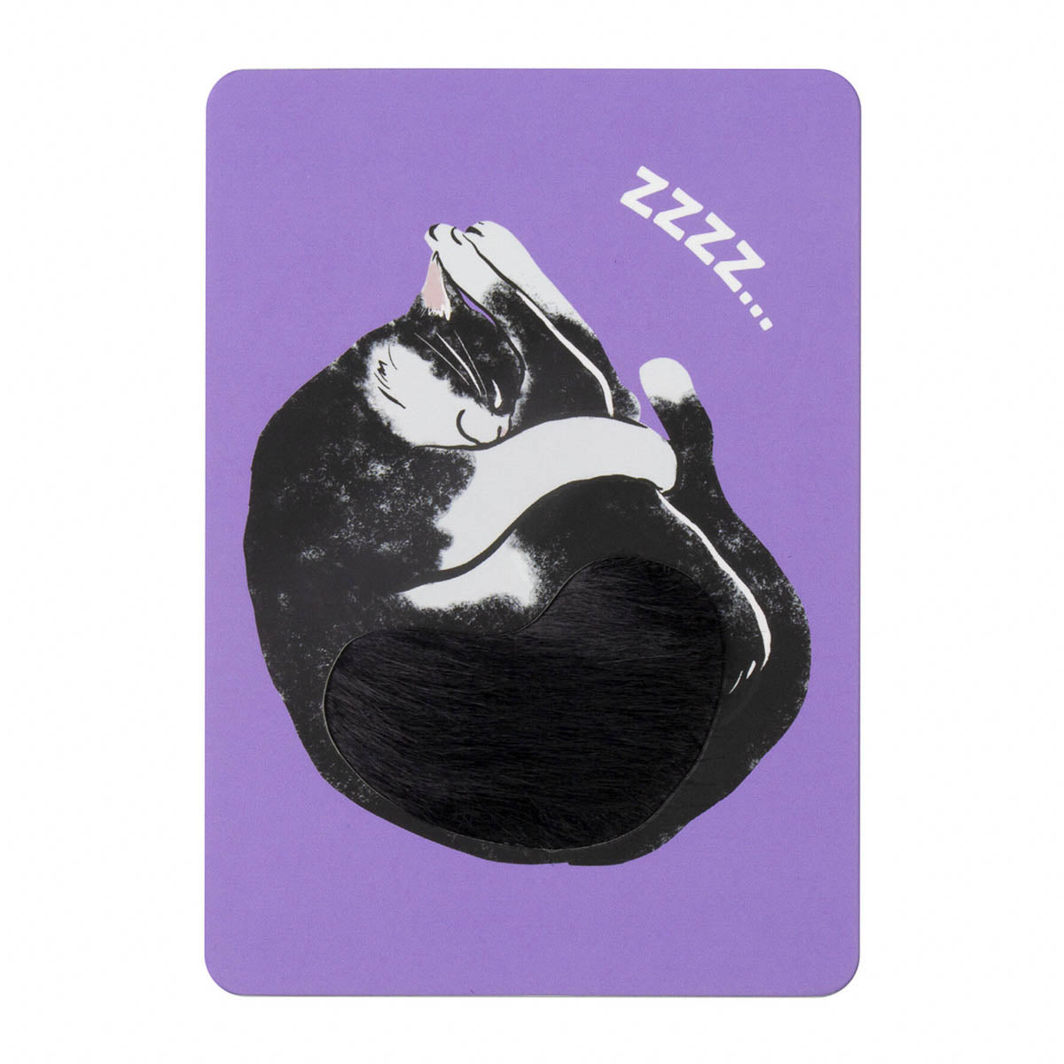 Postkarte - Fluffy Cats