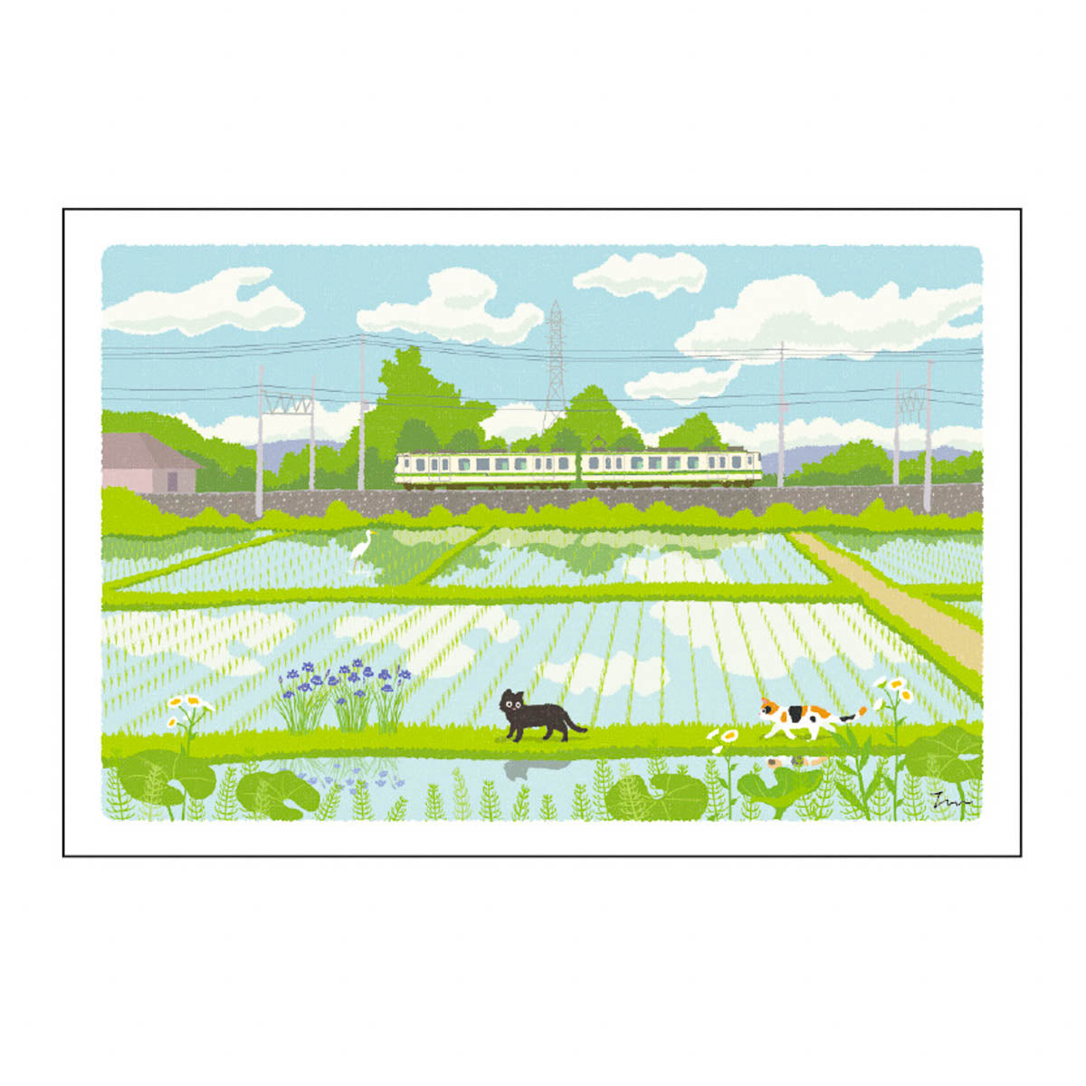 Postkarte - Travel Cat - Summer
