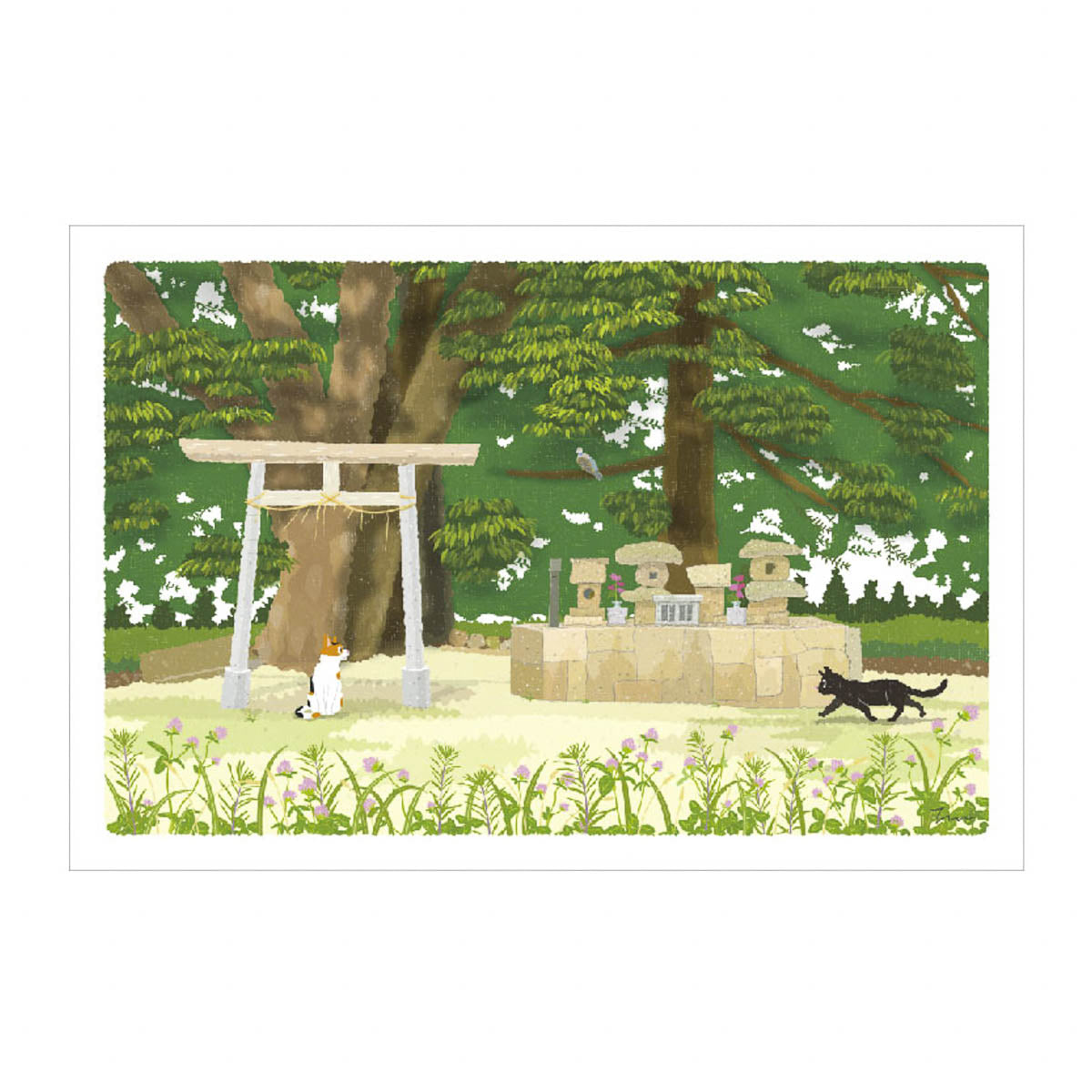 Postkarte - Travel Cat - Summer