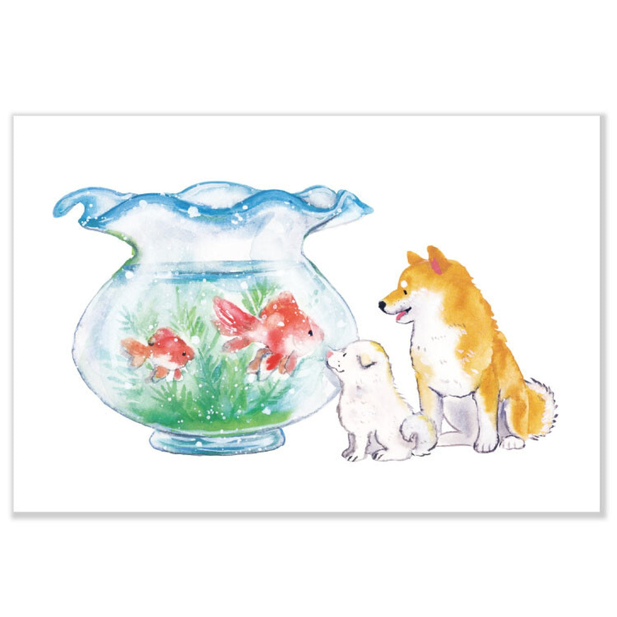 Postkarte - Shiba Inu and Summer