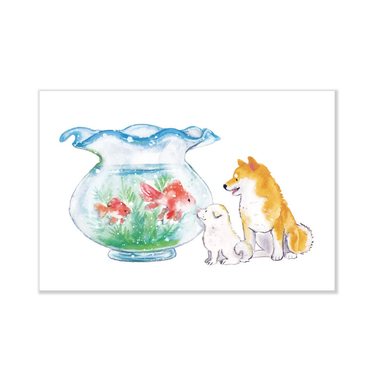 Postkarte - Shiba Inu and Summer