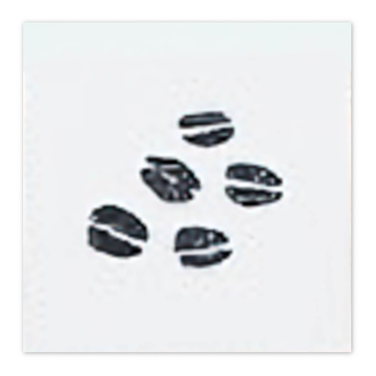 Stempel (Gummi) - Shiho Hoshino - Coffee