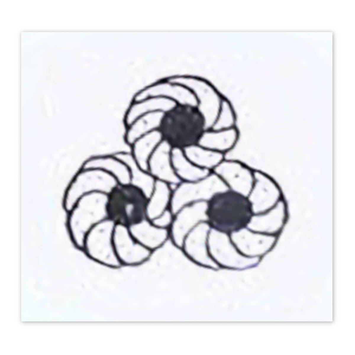 Stempel (Gummi) - Sublo - Pastry Shop