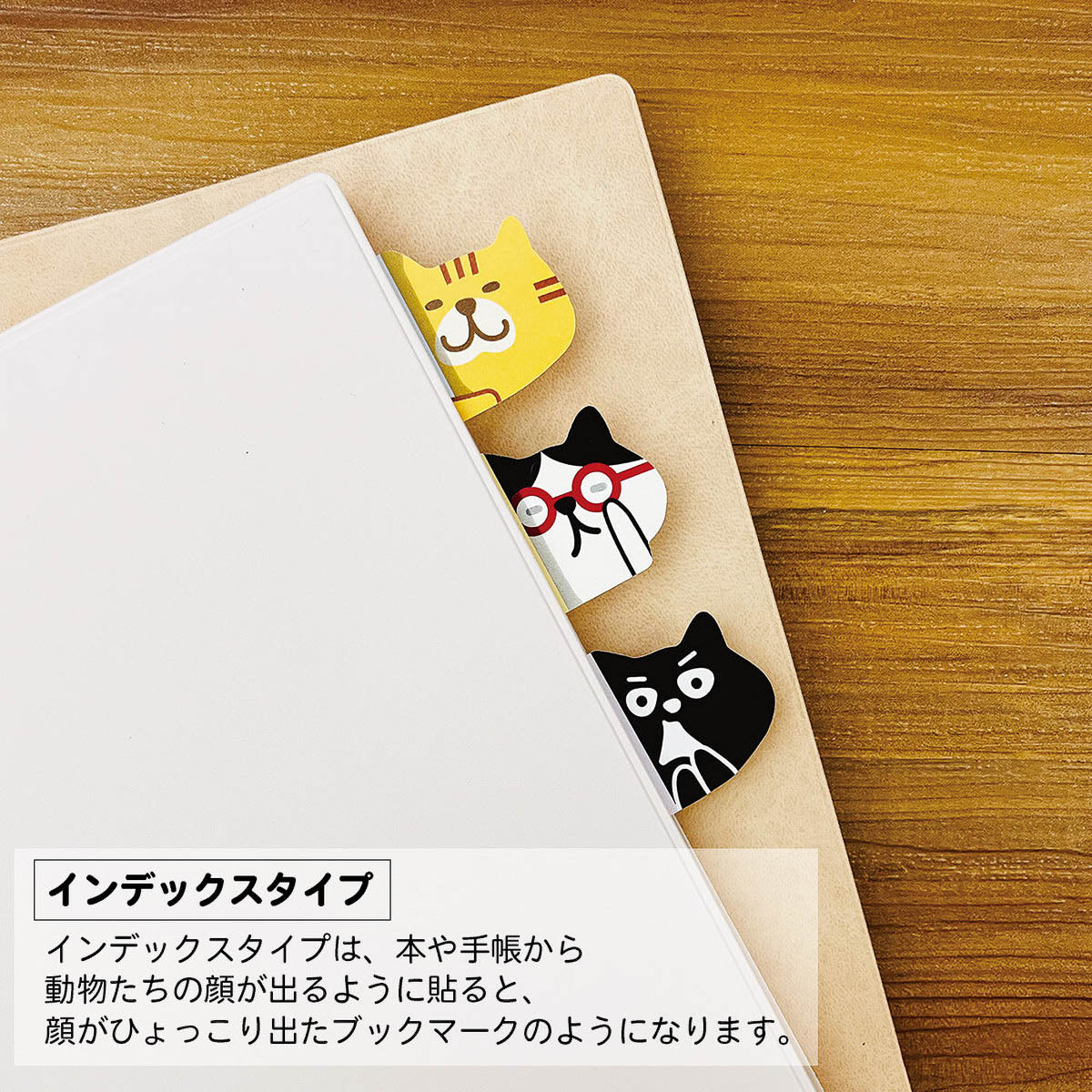 Haftnotizen - Pine Book - Funny Animals