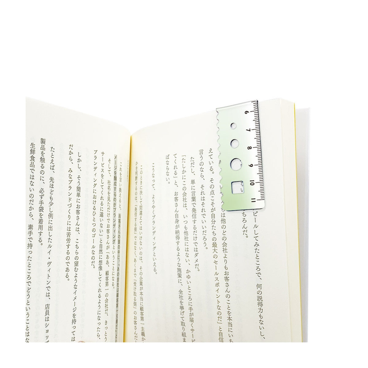 Lesezeichen - Foldable Magnetic Bookmark Ruler - Color