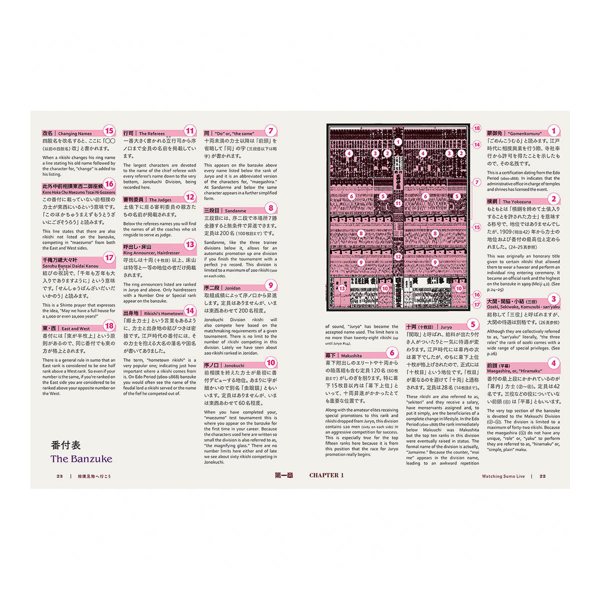 Buch - The Perfect Guide