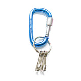 Karabiner - Bolt Lock Carabiner - Key
