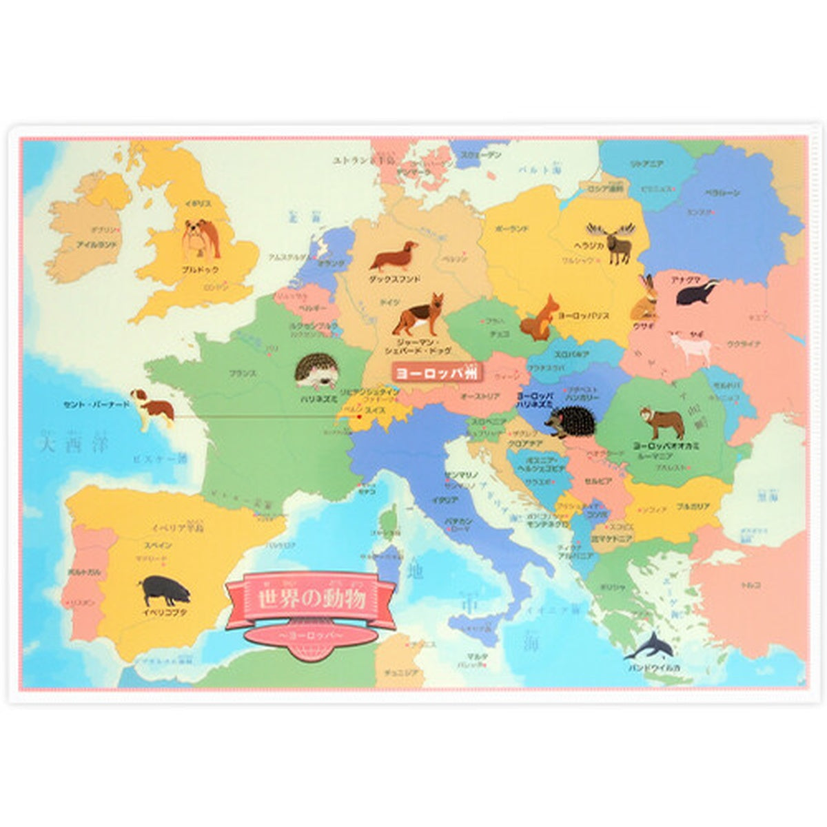 Dokumentenhülle - Tokyo Cartographic - Learn about the World
