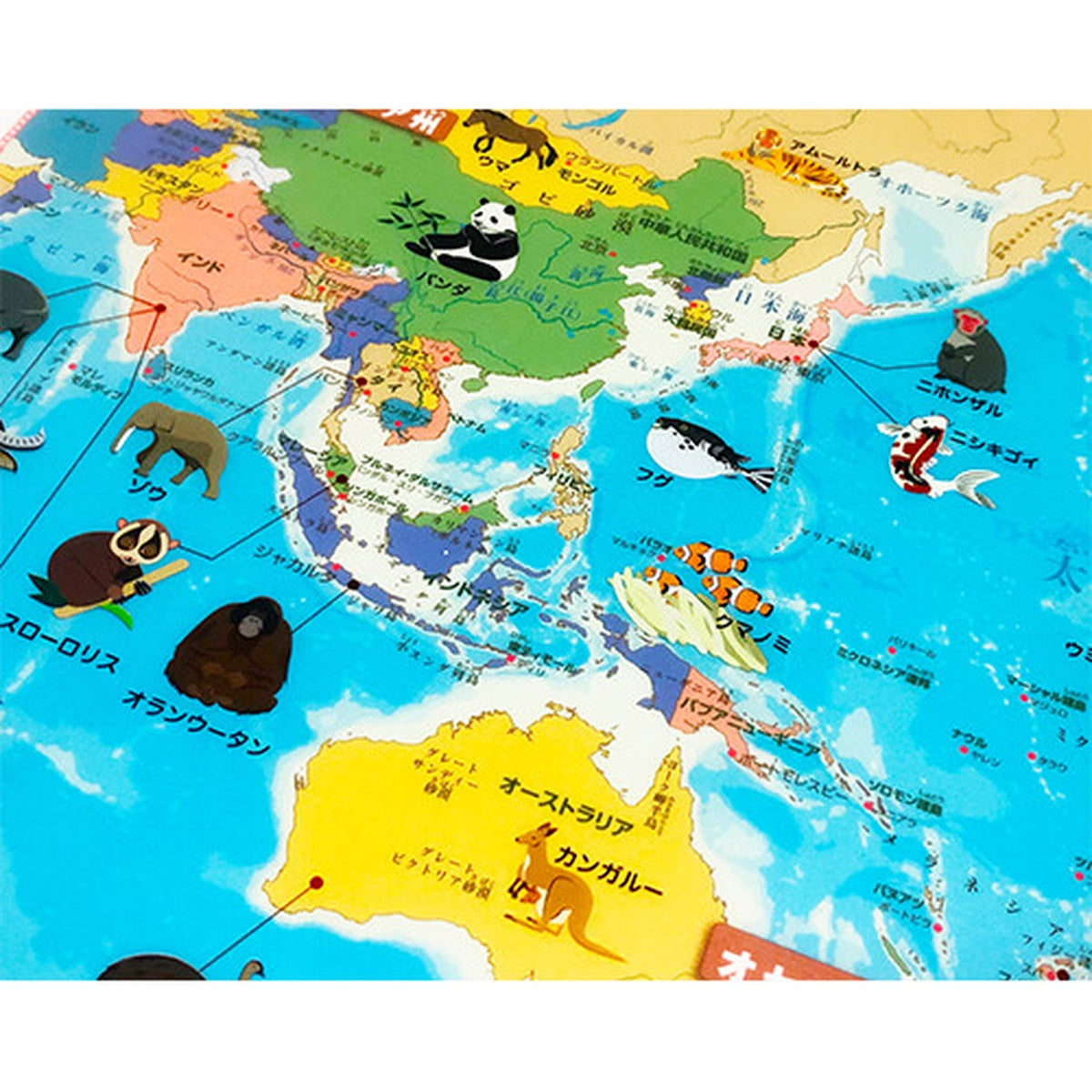 Dokumentenhülle - Tokyo Cartographic - Learn about the World