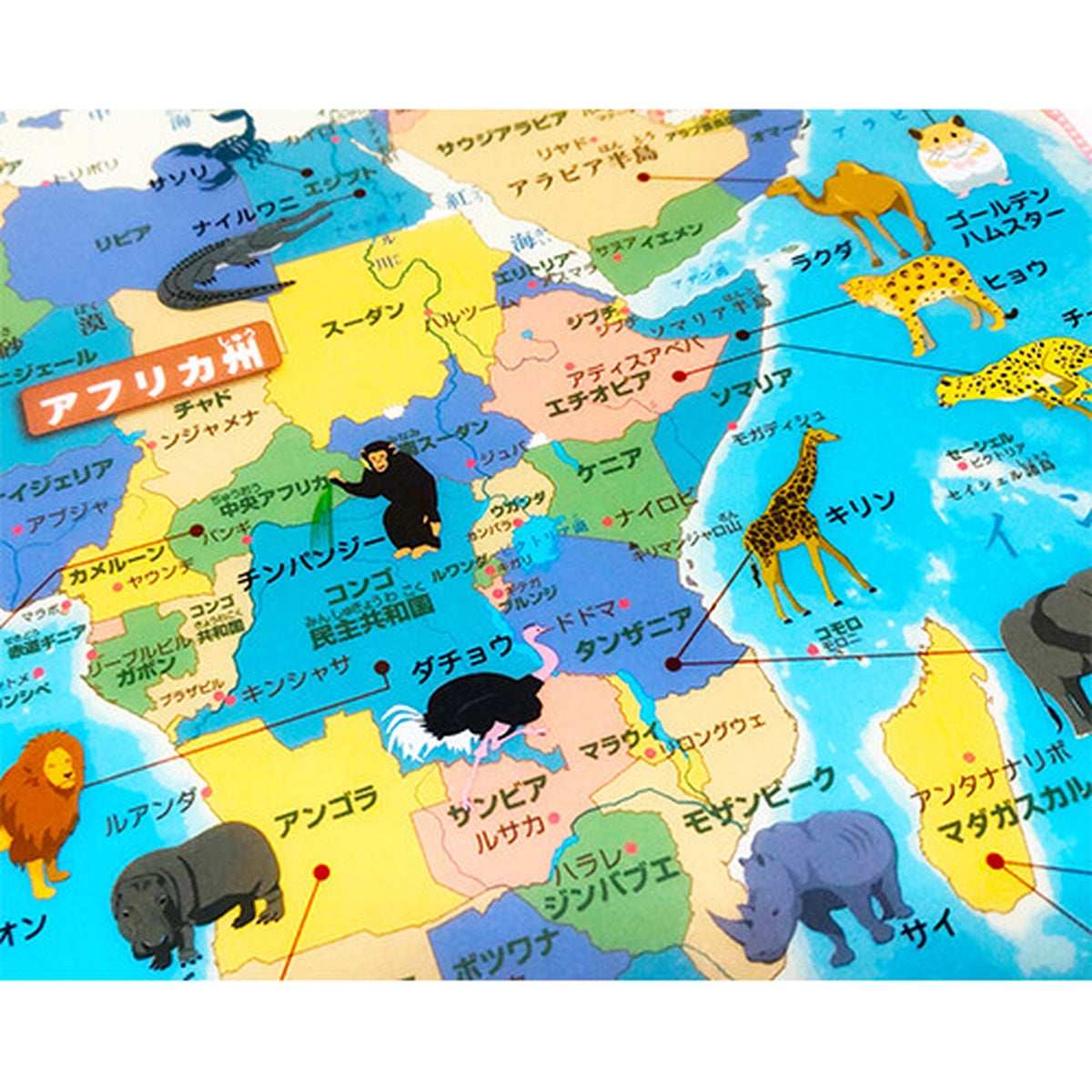 Dokumentenhülle - Tokyo Cartographic - Learn about the World