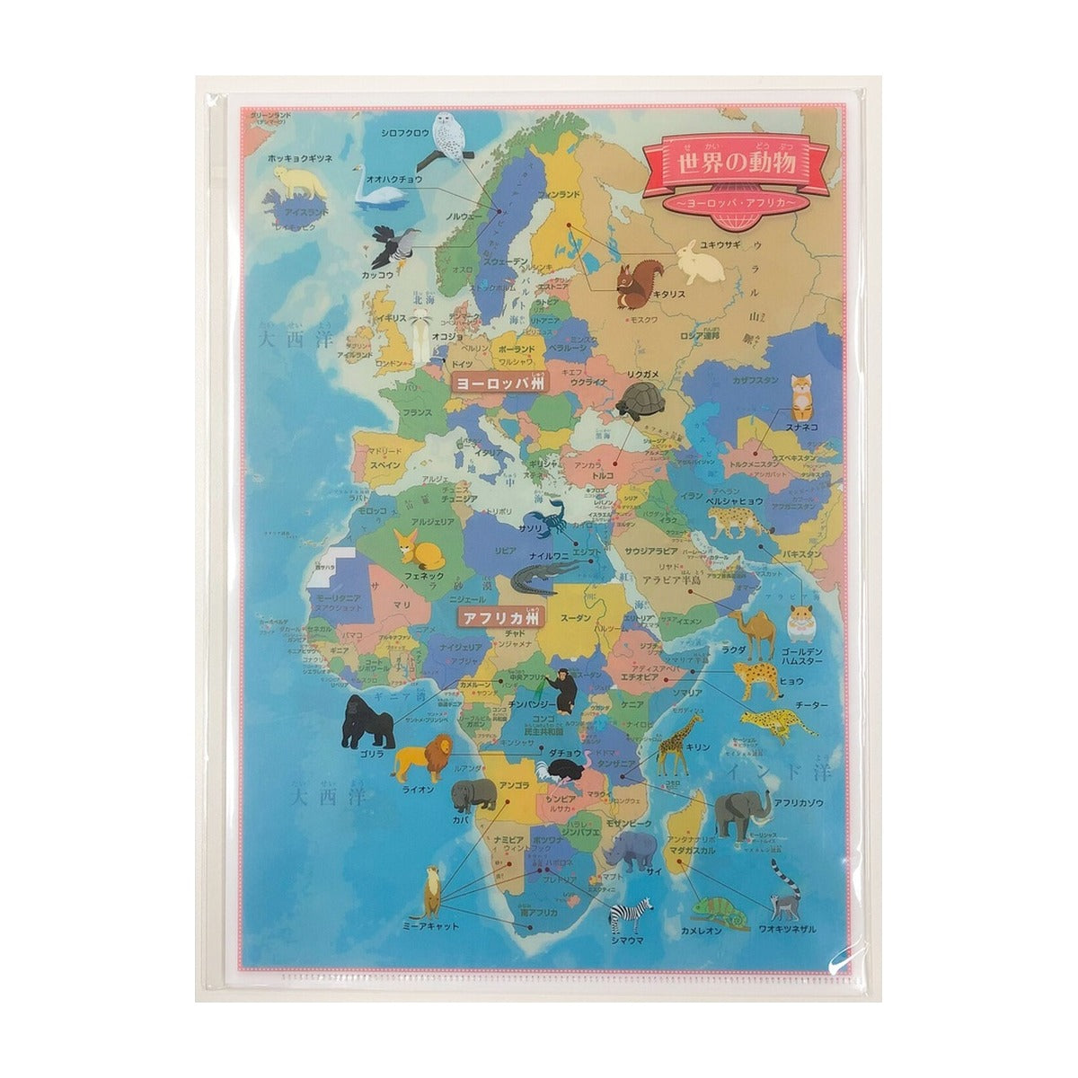 Dokumentenhülle - Tokyo Cartographic - Learn about the World