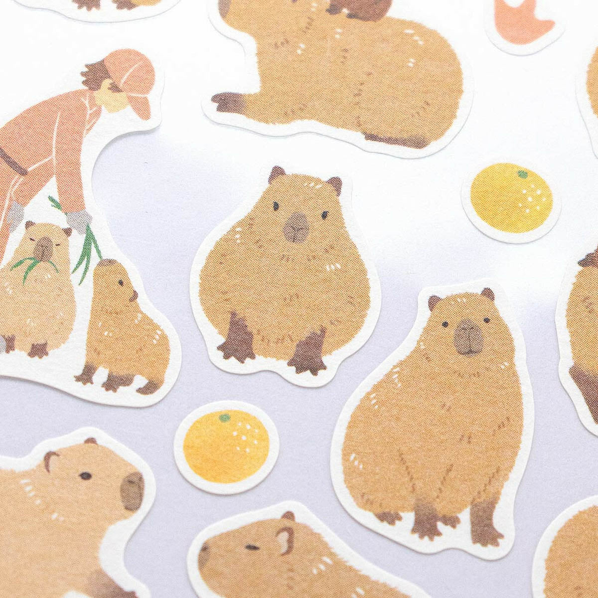 Deko-Sticker - Animals