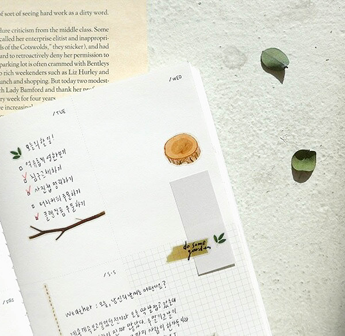 Deko-Sticker - daily deco - cozy home