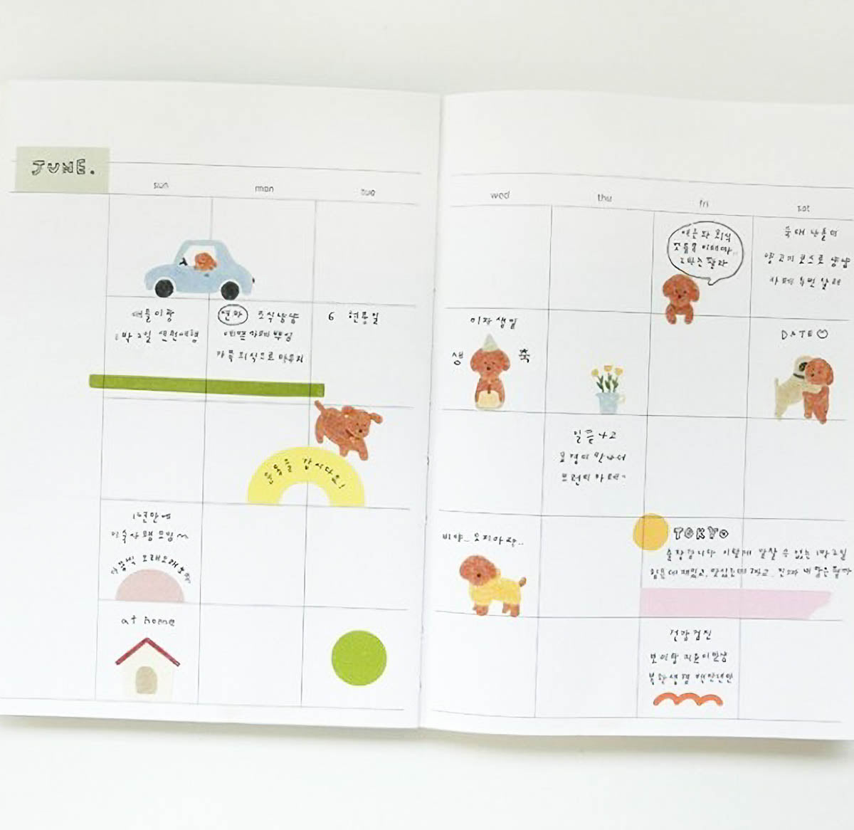 Deko-Sticker - daily deco - cats & dogs