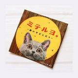 Deko-Sticker - Tokotoko Circus - Retro Cat