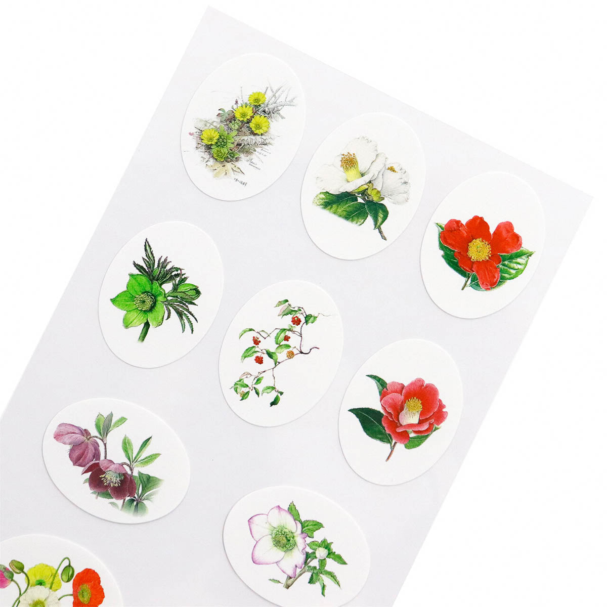 Deko-Sticker - Kiyohiko Sugisaki and Fumiko Sugisaki - Botanical Art