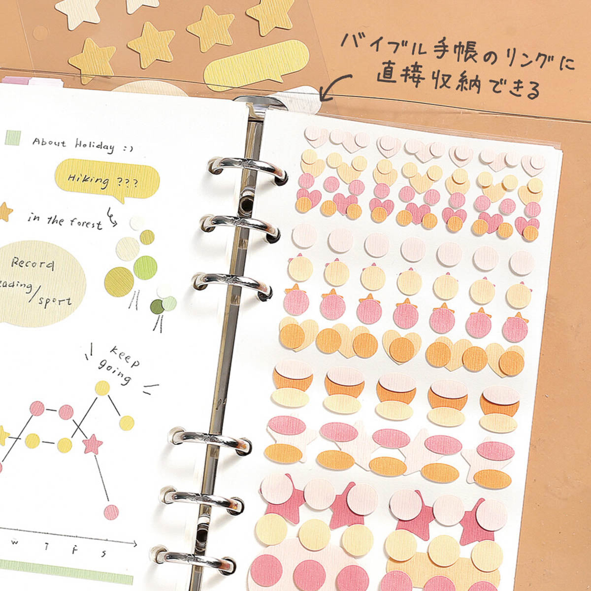 Deko-Sticker - Daily Palette Stickers