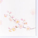 Briefumschlag - Winter - 5th Collection - 2025